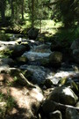 ©umava - Hamersk potok